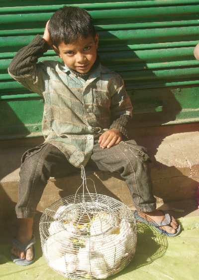 Naga boy selling rats for food at Central Market in Kohima, Nagaland, North-East India