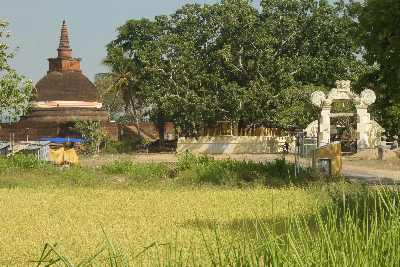 Dematamal Viharaya Buddhist temple, Okkampitiya near Monaragala and Buttala, South-Eastern Sri Lanka
