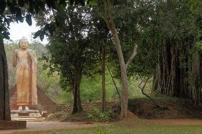 Maligawila Buddha-Statue in Moneragala (Sri Lanka/Süden)
