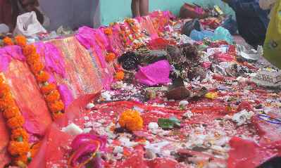 Sacrifices during Dussehra (Durga Puja) Hindu festival at Rajgir, Bihar (Northern India)