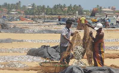 Fishermen's beach in Negombo (Migamuva), Sri Lanka