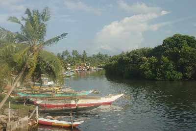 Lagoon in Negombo (Migamuva), Sri Lanka