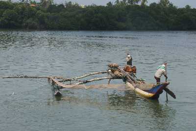 Outrigger boat in the lagoon Negombo (Migamuva), Sri Lanka