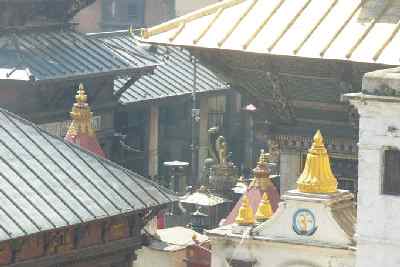 Pashupatinath Shiva temple, Kathmandu Valley, Nepal