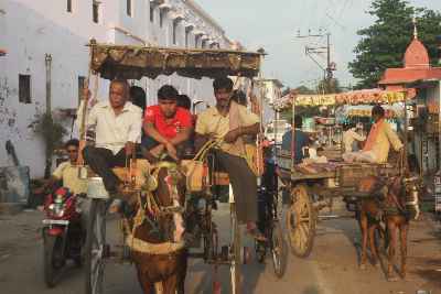 Horse-drawn cars (Tanga) in Rajgir, Bihar (Northern India)