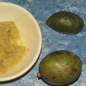 Bengali/Bangladeshi Food: Amra Jalpay Chutney (condiment made from unripe mango and ripe jolpai (Indian olive) fruits 