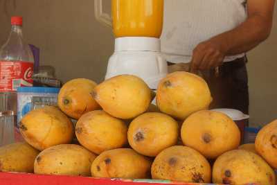 Indian Food: Mango-Ice-Shake