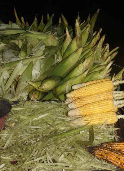 Indian Food: Street stall for grilled maize (corn, Zea mays), in Mysore, Karnataka (India)