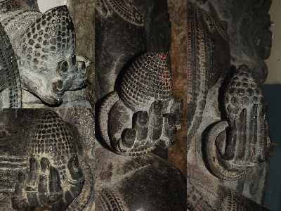 Sitaphala fruit (akin to Hoysala “maize cobs”) in the hands of Yaksha/Yakhsi protective spirits, in Jain temples (Shasana Basti, Chavundaraya Basti, Kettale Basti), Chandragiri hill, Sravanabelagola, Karnataka (India)