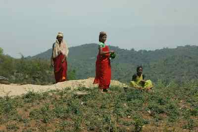 Tribal women in the Eastern Ghats, Andhra Pradesh (India)