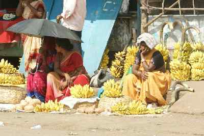 Banana vendors at Araku, Andhra Pradesh (India)