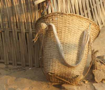 Bamboo Basket (Koksi) in Williamnagar (East Garo Hills, Meghalaya, North-Eastern India)